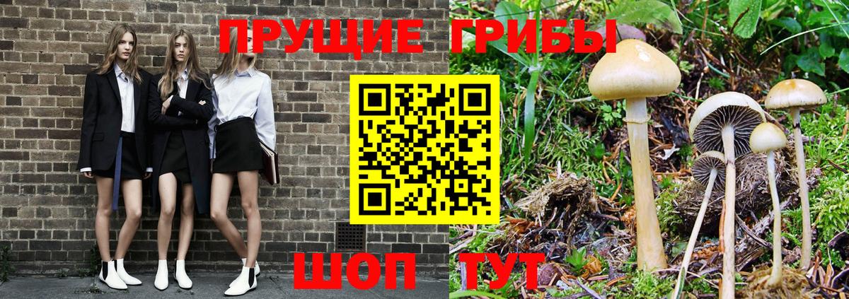 Псилоцибиновые грибы Psilocybe  Вход с VPN  Электросталь 